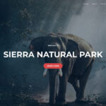 sn-social-img